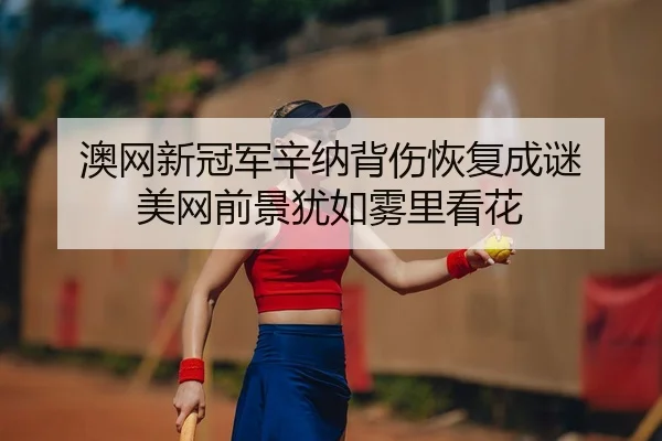 ao-wang-xin-guan-jun-xin-na-bei-shang-hui-fu-cheng-mi-mei-wang-qian-jing-you-ru-wu-li-kan-hua-2-656.jpg