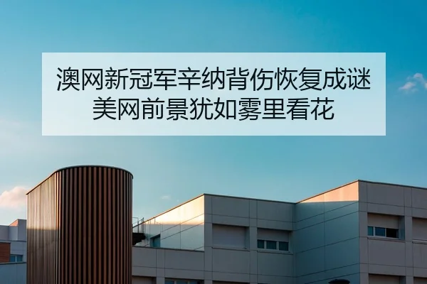 澳网新冠军辛纳背伤恢复成谜 美网前景犹如雾里看花